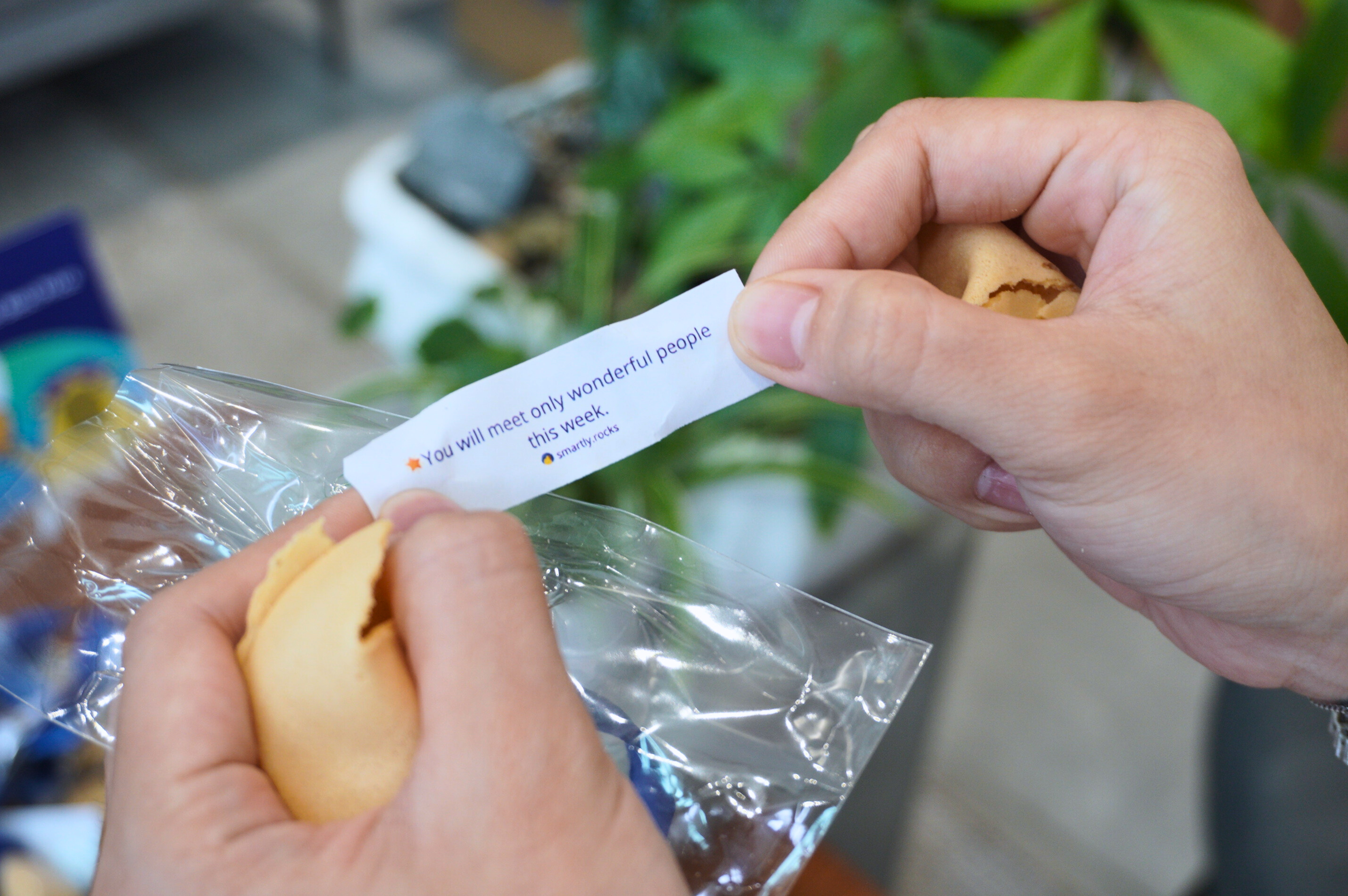 Fortune Cookie Event Photo 3